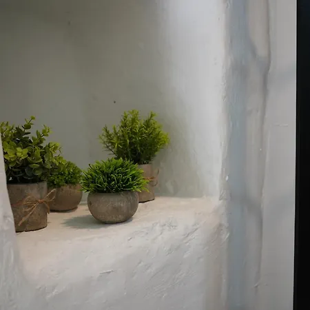 Apartment Belvedere *